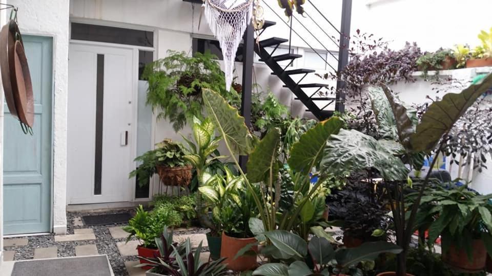 Moonshine Boutique Hostal كالي المظهر الخارجي الصورة